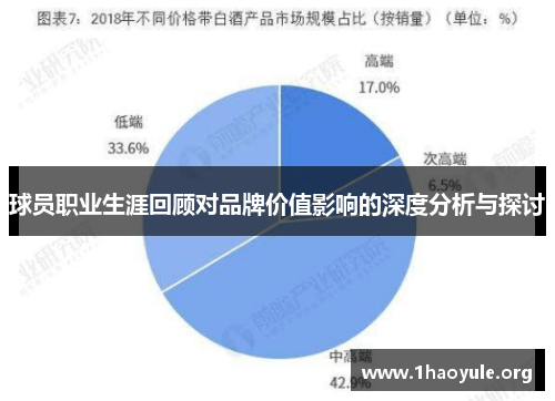 球员职业生涯回顾对品牌价值影响的深度分析与探讨