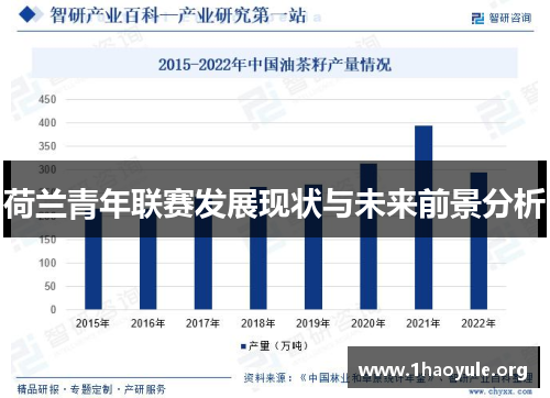 荷兰青年联赛发展现状与未来前景分析