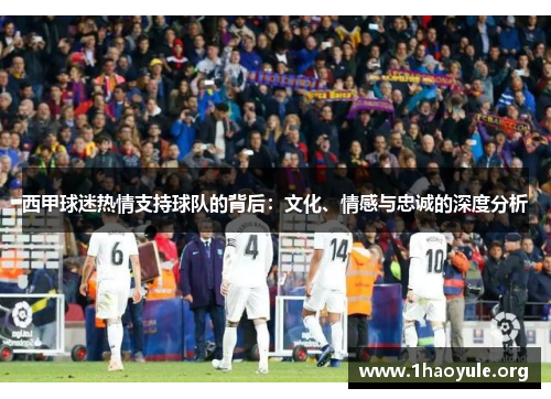 西甲球迷热情支持球队的背后：文化、情感与忠诚的深度分析
