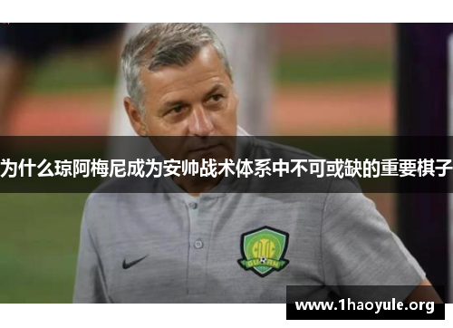 为什么琼阿梅尼成为安帅战术体系中不可或缺的重要棋子
