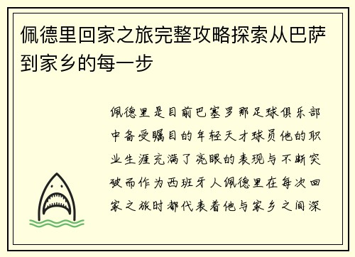 佩德里回家之旅完整攻略探索从巴萨到家乡的每一步