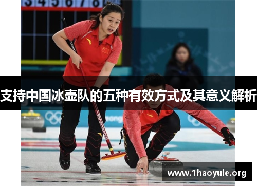 支持中国冰壶队的五种有效方式及其意义解析