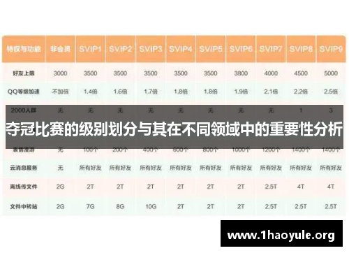 夺冠比赛的级别划分与其在不同领域中的重要性分析