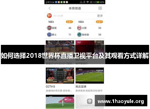 如何选择2018世界杯直播卫视平台及其观看方式详解