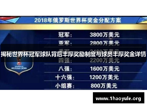 揭秘世界杯冠军球队背后丰厚奖励制度与球员丰厚奖金详情