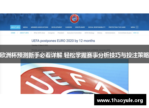 欧洲杯预测新手必看详解 轻松掌握赛事分析技巧与投注策略