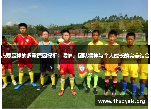 热爱足球的多重原因探析：激情、团队精神与个人成长的完美结合