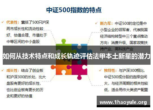 如何从技术特点和成长轨迹评估法甲本土新星的潜力