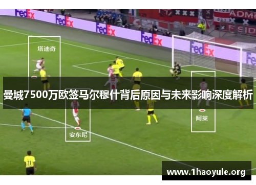 曼城7500万欧签马尔穆什背后原因与未来影响深度解析